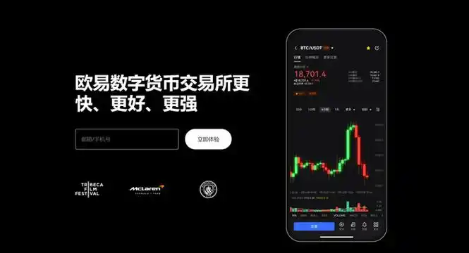 USDT交易平台平台展示图